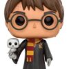 Harry Potter POP! Movies Vinyl figurine Harry with Hedwig 9 cm