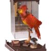 Harry Potter Statuette Magical Creatures Fawkes 19 cm