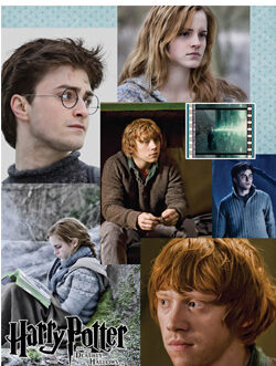 Harry Potter et les Reliques de la Mort carte ´Premier Film Cell´ Poster