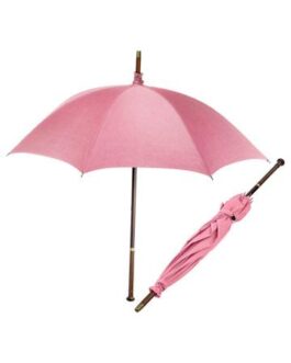 Harry Potter parapluie Rubeus Hagrid