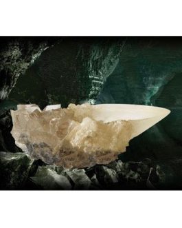 Harry Potter réplique La Coupe de Cristal