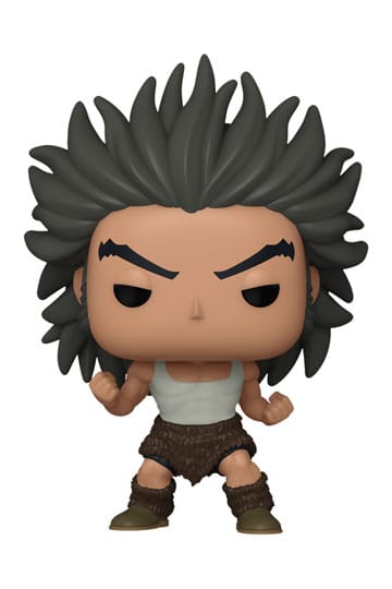 Figurines POP! Hunter x Hunter