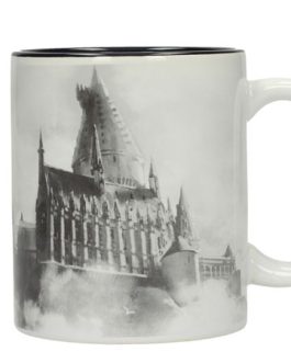 Harry Potter mug Hogwarts Castle